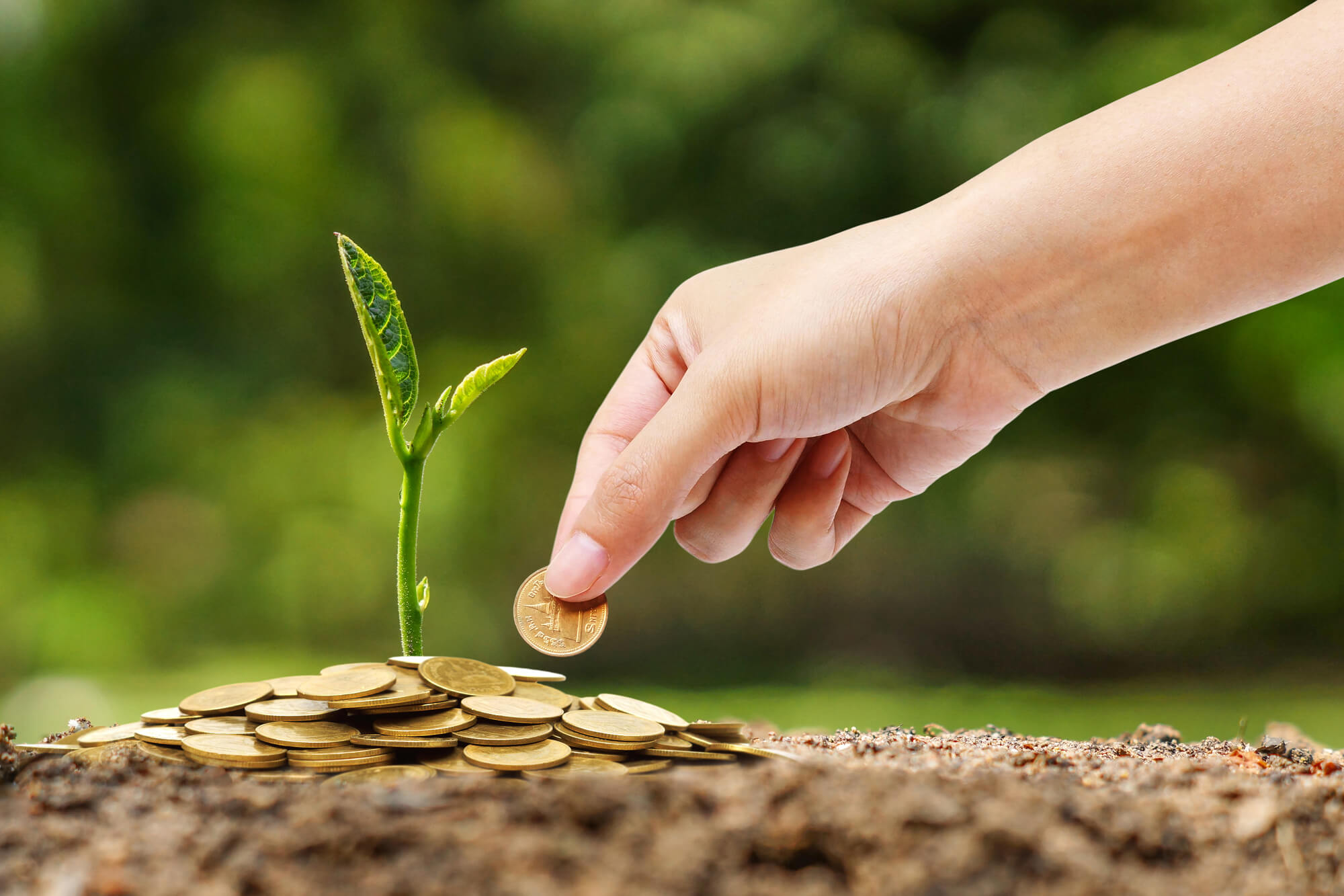 donations background image